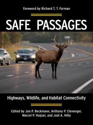 cover image of Safe Passages